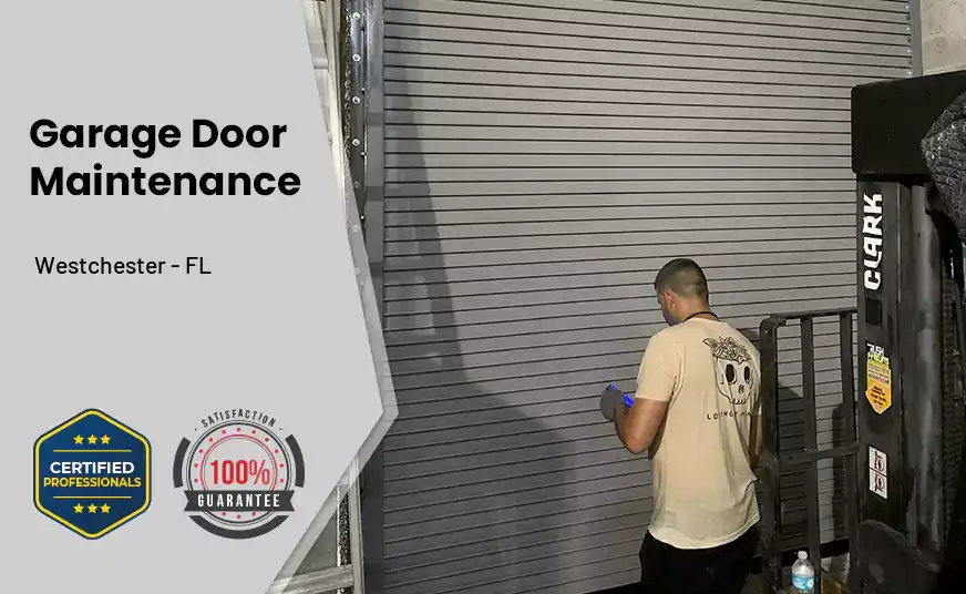 Garage Door Maintenance Westchester - FL